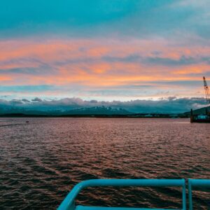 Caminhada com Pinguins + Navegação