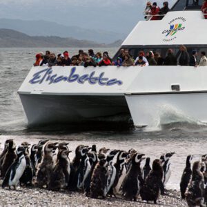 Navegação Pinguinera