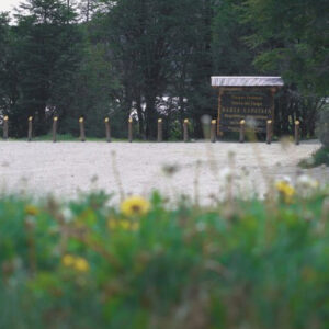 Parque Nacional Tierra del Fuego - Verão