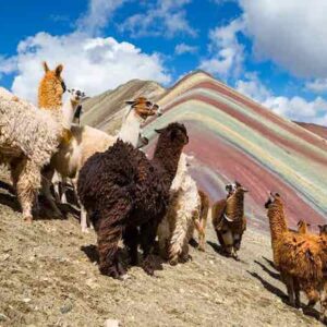 Tour Montanha das 7 cores Compartilhado