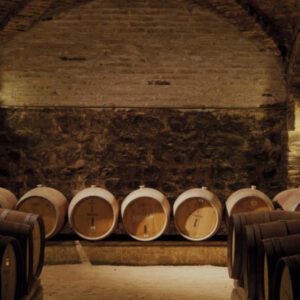 Tour Vinhedo Santa Rita