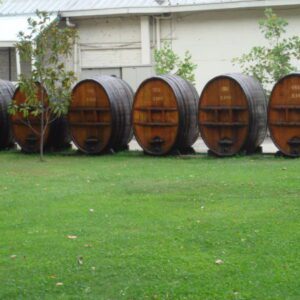 Vinícola Concha y Toro Noturno